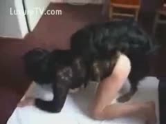 Thick brunette college slut getting screwed by an animal